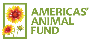 AMERICAS' ANIMAL FUND
